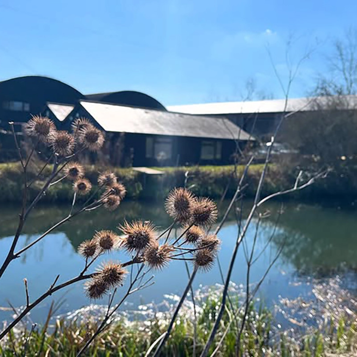 Square 3 Outside our office